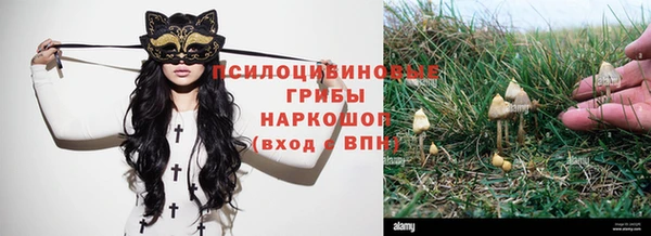 Альфа ПВП Заводоуковск